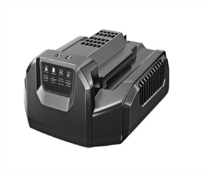 Chargeur standard 210 W