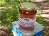 Miel de Forêt du Bugey (Châtaignier, Tilleul et Ronce) - pot verre de 1 kg