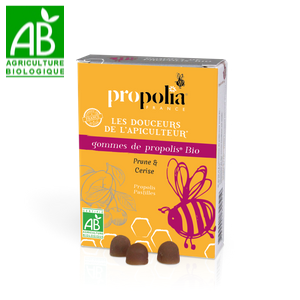 Gommes de Propolis Prune-Cerise BIO 45g
