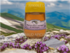 Miel de Fleurs sauvages de Montagne - Squeezer de 500 gr