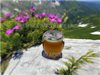 Miel de fleurs sauvages de Montagne pot verre de 125 gr