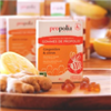 Gommes de Propolis  BIO Citron & Gingembre, sirop d'Agave  45g