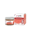 Baume actif BIO Propolis Karité & Miel  30 ml