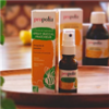 Spray buccal Fraîcheur BIO Propolis & Menthe